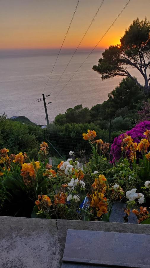 Bb La Guardiia Bed and Breakfast Anacapri  Buitenkant foto