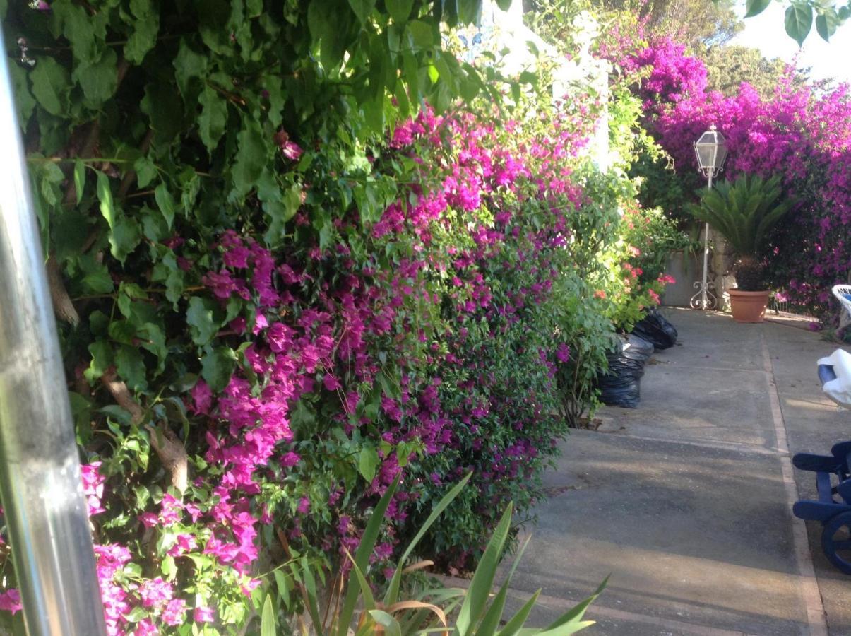 Bb La Guardiia Bed and Breakfast Anacapri  Buitenkant foto