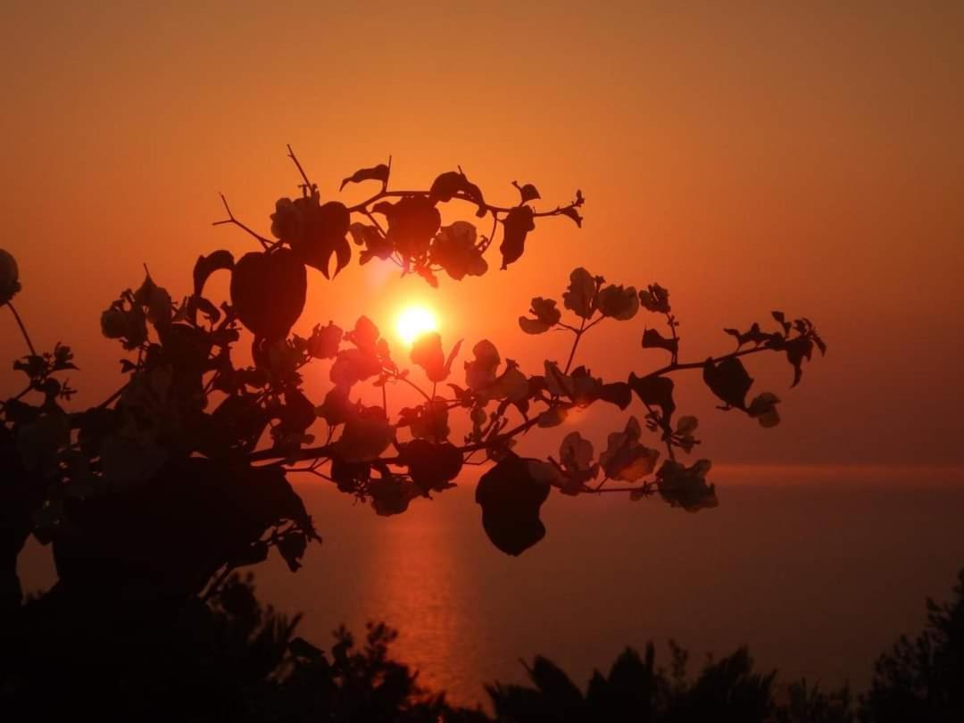 Bb La Guardiia Bed and Breakfast Anacapri  Buitenkant foto