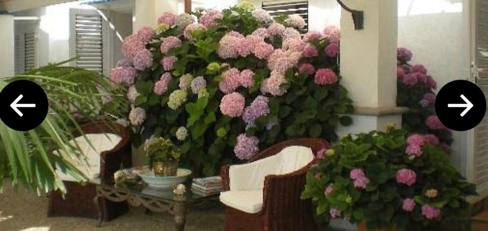 Bb La Guardiia Bed and Breakfast Anacapri  Buitenkant foto