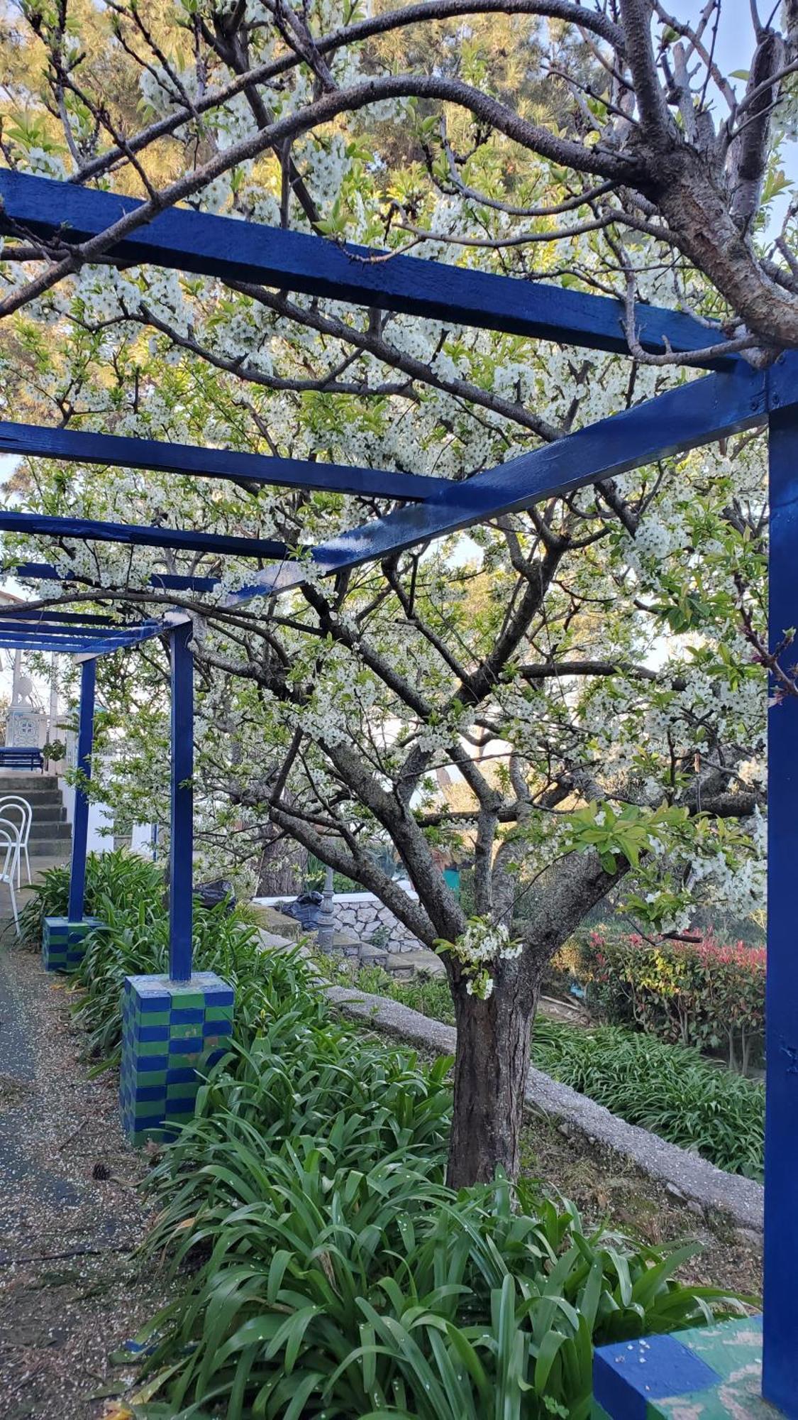 Bb La Guardiia Bed and Breakfast Anacapri  Buitenkant foto